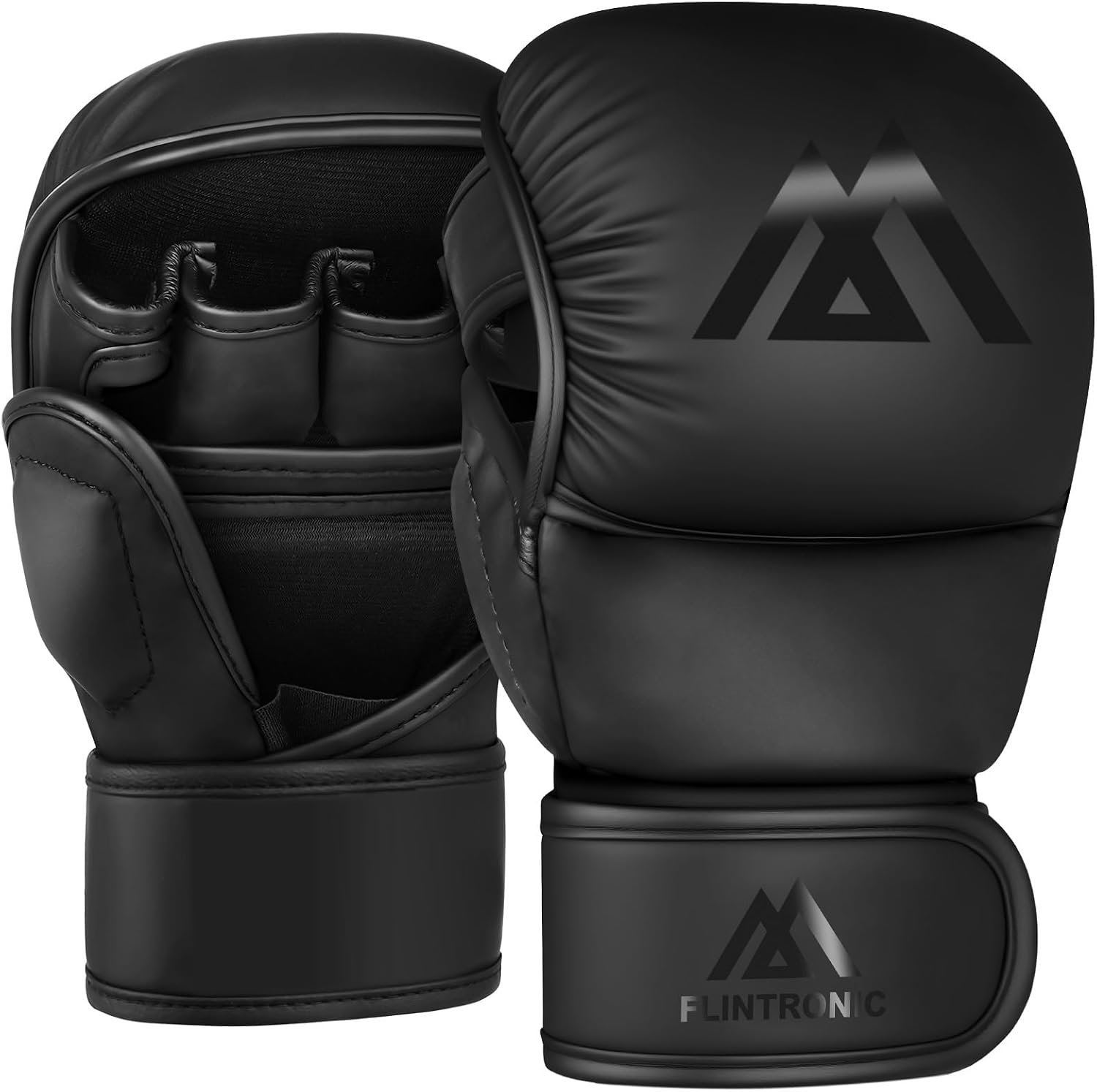 Photo of flintronic MMA